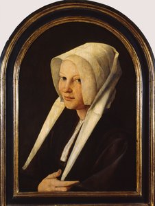 Agatha van Schoonhovenin muotokuva, 1529